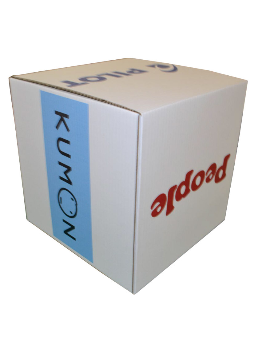 知育ロゴ用サイコロ 300×300×300